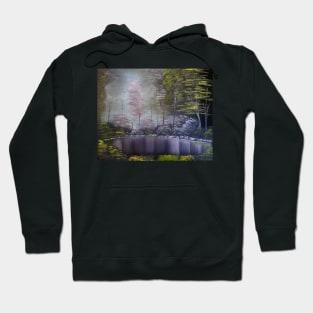 Hidden Pond Hoodie